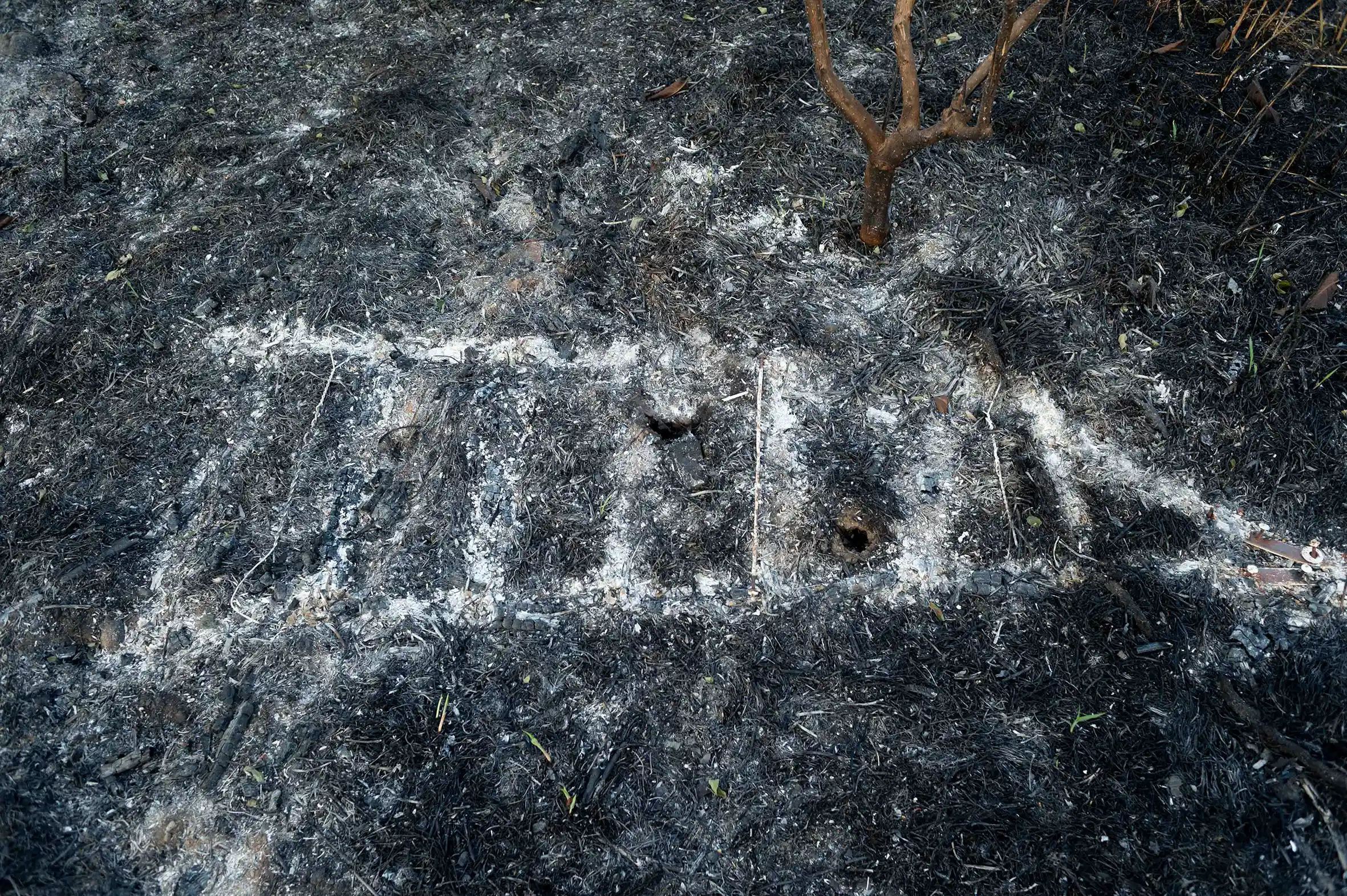 Le fruit du feu le fruit du feu/photos/10.webp